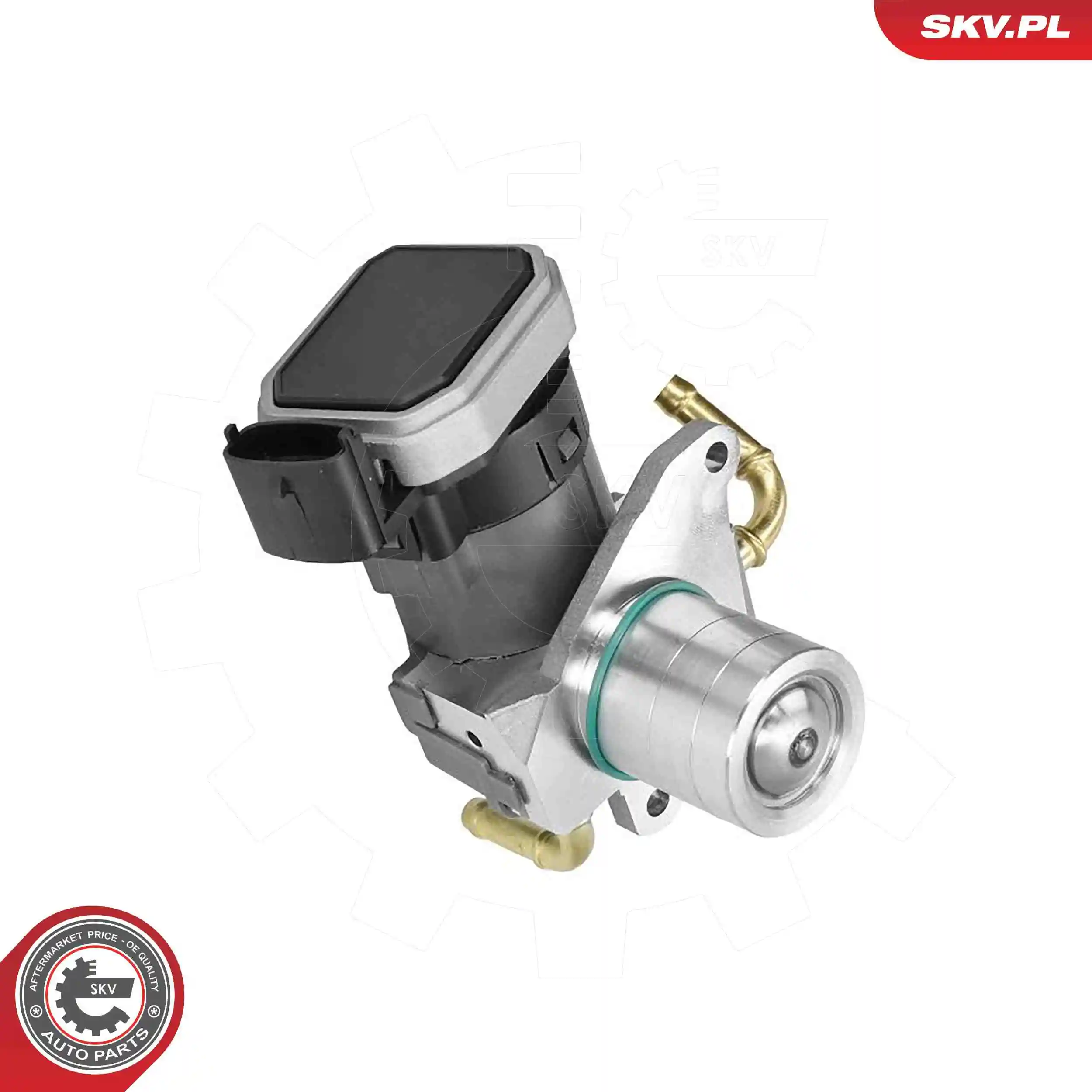 EGR Valve